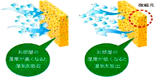 plaster00301.png